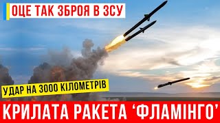 ОЦЕ ТАК ЗБРОЯ! Вітчизняна крилата ракета "Фламінго"