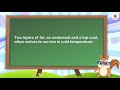 Understanding Appositives in Sentences