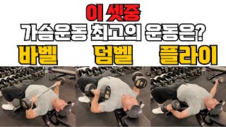 바벨.덤벨.플라이 중 가슴운동에 최고는?
