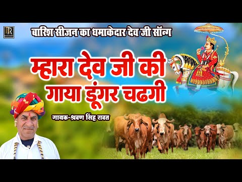 श्रवण सिंह रावत बारिश सीजन का धमाकेदार देव जी सॉन्ग | म्हारा देव जी की गाया डूंगर चढ़गी | Dev Ji Song