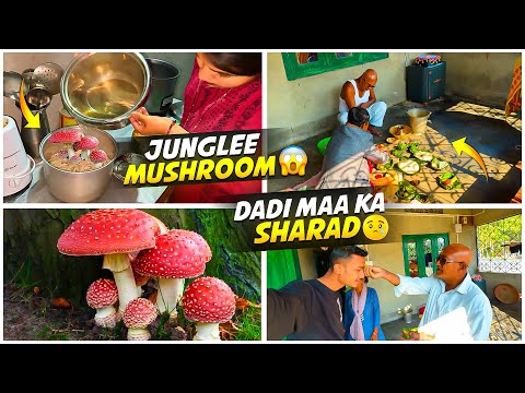 Junglee Mushroom 🍄 Khane Se Kya Hua ?? 😱 || Dadi Maa Ka Shradh 🥲 - Sonu Vlogs