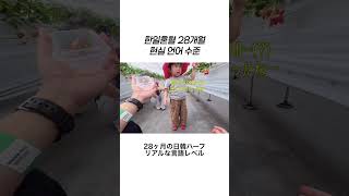 28개월 한일혼혈아기의 이중언어 실력 #한일부부