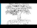 Understanding Nazi Ideology and Its Origins