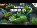 Bryophytes: Importance and Adaptations