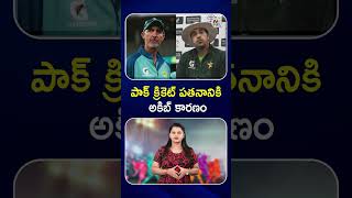 పాక్ క్రికెట్ పతనానికి అకిబ్ కారణం : NTV Sports