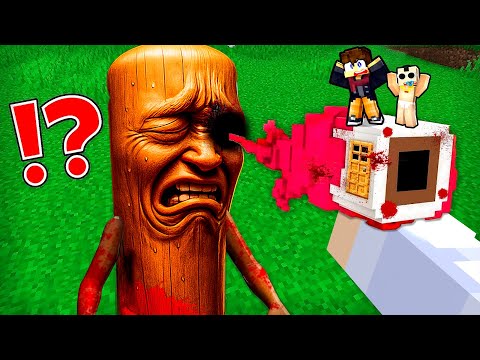 TUNG TUNG SAHUR a PERDU son OEIL sur Minecraft !