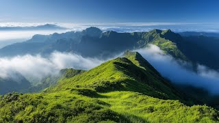 Piano Relaxing Music 🍀 Study Piano Music 🍀 Piano  For Stress Relief 🍀 Music For Studying