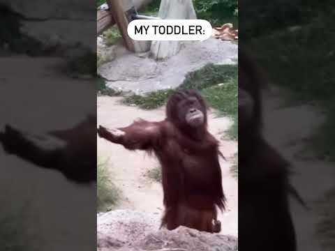my toddler every time I have a snack