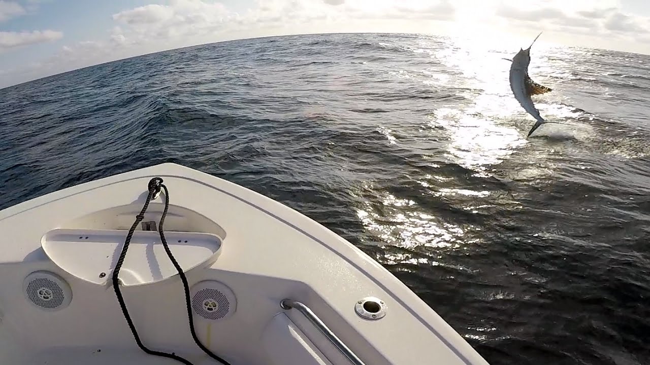 Insane Fish Goes Ape h! T and Almost Jumps in Boat!