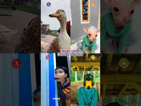 Video lucu bebek lapar #funny #lucu