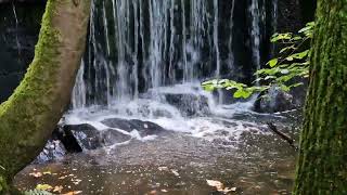 Knypersley Waterfall