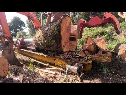 Coupe de bois