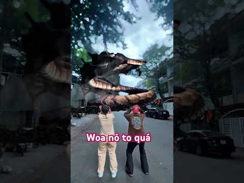 Rồng xuất hiện.#giảitríchotrẻem #shortvideo #vuinhon