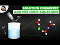 Understanding Solutions and Ionic Equations