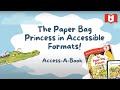 The Paper Bag Princess Insights