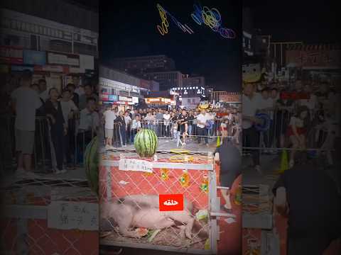 آخر عاقبت طمع کردن😢