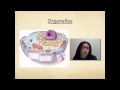 Levels of Organization in Biology