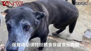 天殘腳