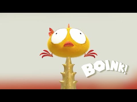 Boink! | Where's Chicky? | Cartoon Collection in English for Kids | New episodes