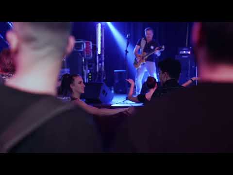 Sheldon & The Rollin' cats