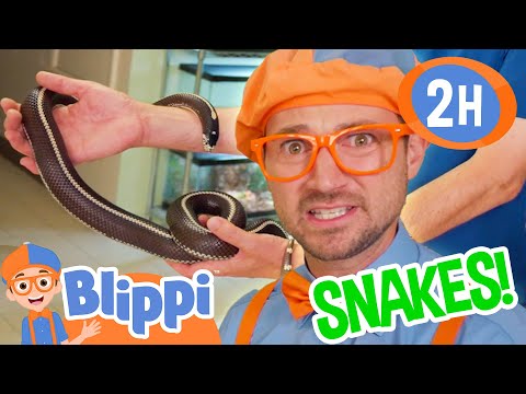 Blippi and Meekah Learn About Snakes! 2 Hours of Educational Videos for Kids and Families