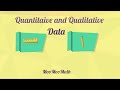 Exploring Qualitative vs Quantitative Data