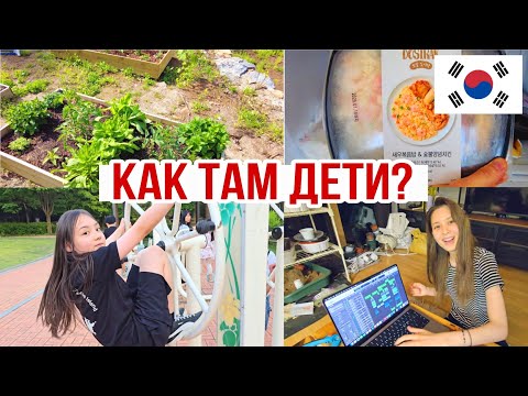 Соскучилась по детям и приехала домой ^^ KOREA VLOG