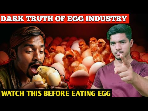 Dark Truth Of Egg Indrustry | IS Egg Vagetarian Or Not