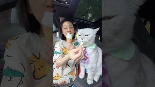 Sharing ice cream with ChangAn #cat #catcookingfood