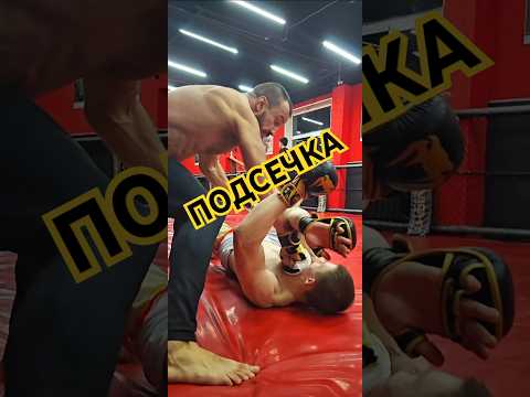 Подсечка #mma #ufc #подсечка #карате #каратэ #Karate #прием