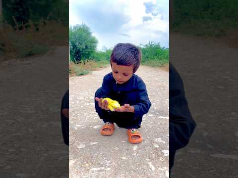Kabootar ne dekhaya choza mar gaya 😭kise ne nhi udaya 😱🤲#shortvideo #birds