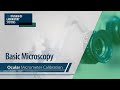 Microscope Calibration and Measurement