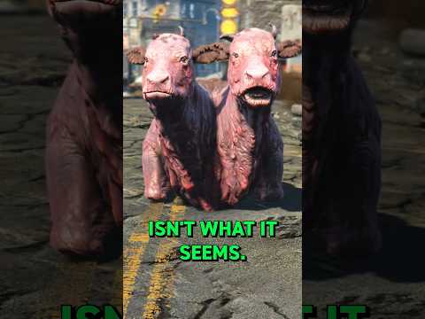 This Brahmin Has A Secret in Fallout 4