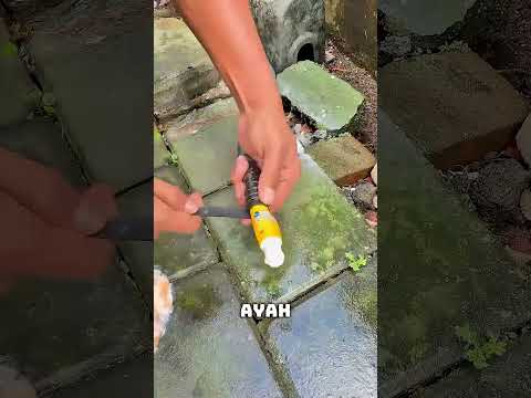 🚿 Trik Tabung Pasta Gigi Ayah Mengubah Dapur Jadi Tempat Cuci Mobil 😂🪥