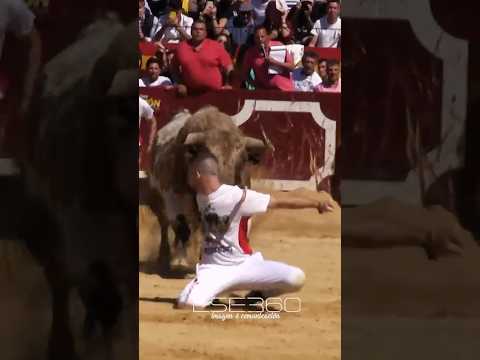 QUIEBRO DE RODILLAS A UN TORO BRAVO #tricks #bull