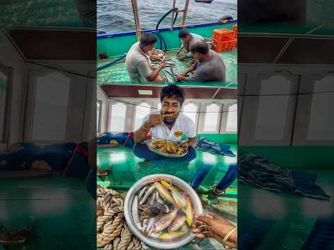 அடடா ‼️மதியம் கடல் restaurant-இல் தரமான ஒரு சாப்பாடு | கடல் + சாம்பார் + மீன் வறுவல் = சொர்க்கம்🤤