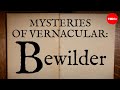 Understanding the Origins and Evolution of 'Bewilder'