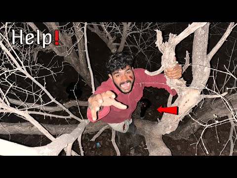 Night Challenge in Forest - मरते मरते बचा