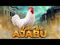 KUKU WA AJABU 56