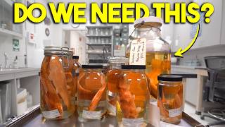 What's the Point of Natural History Collections?