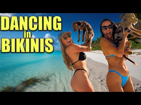 Dancing Girl in Bikinis with Puppies, Does it get better?