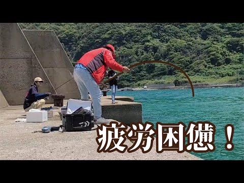 無限に釣れる堤防で泳がせしていたら想像をはるかに超えたヒラ○も釣れて疲労困憊！釣れた魚は全てHACCP処理