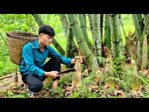 Harvesting giant bamboo shoots, Sweet potato, Take to market to sell