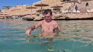 Most Beautiful Places In the World | From France & Switzerland to Thailand & Beyond!  day3