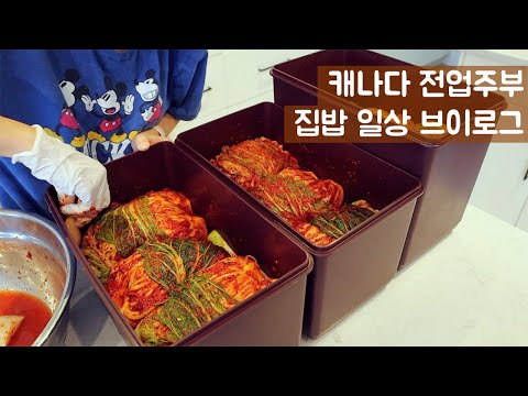 🇨🇦집밥 일상브이로그ㅣ명동교자 칼국수, 김장김치, 펌킨브레드 만들기ㅣ김장 브이로그ㅣ포기김치 맛있게 담그기ㅣ살림 브이로그ㅣ캐나다 생활 브이로그