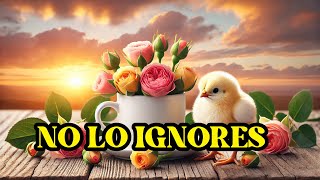 FELIZ JUEVES MENSAJE DE BUENOS DÍAS Saludos de Buenos Días ABRELO ES PARA TI