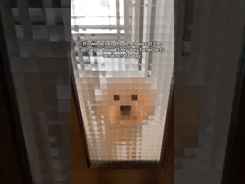 throwback to the time i was at the vet and i thought my dog turned into a minecraft dog