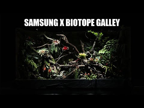 “삼성이 비오토프에게 맡긴 비바리움 ” | A Vivarium, Crafted by Biotope for Samsung | 화질 대모영상 결과물 포함 Samsung OLED PQ