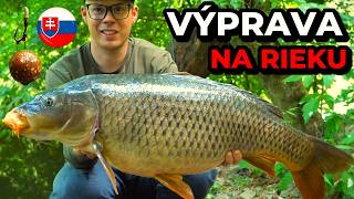 Výprava - Divoké Kapre na Malej Rieke 🐋🌞 Lov Rýb na Boilies na rieke plnej prekážok !! ⛺