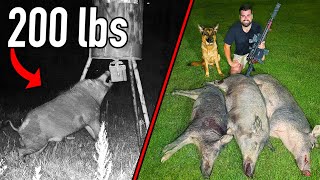 FIGHTING BACK | Monster Hogs RUINING My FARM!
